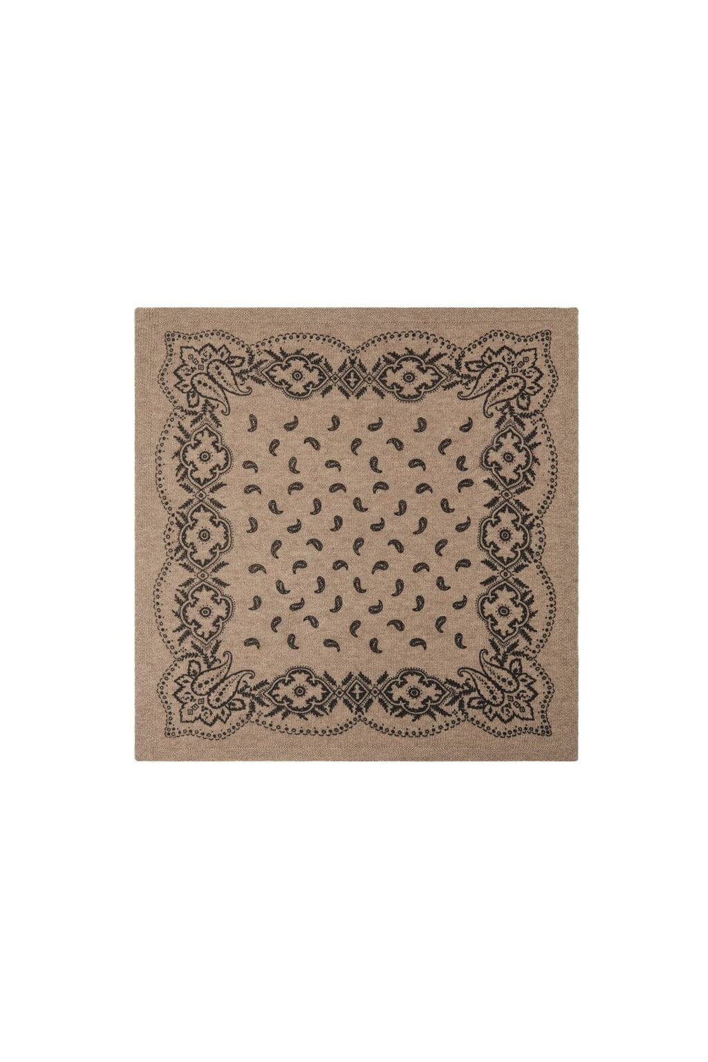 Adelina Paisley Knit Scarf