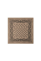 Adelina Paisley Knit Scarf