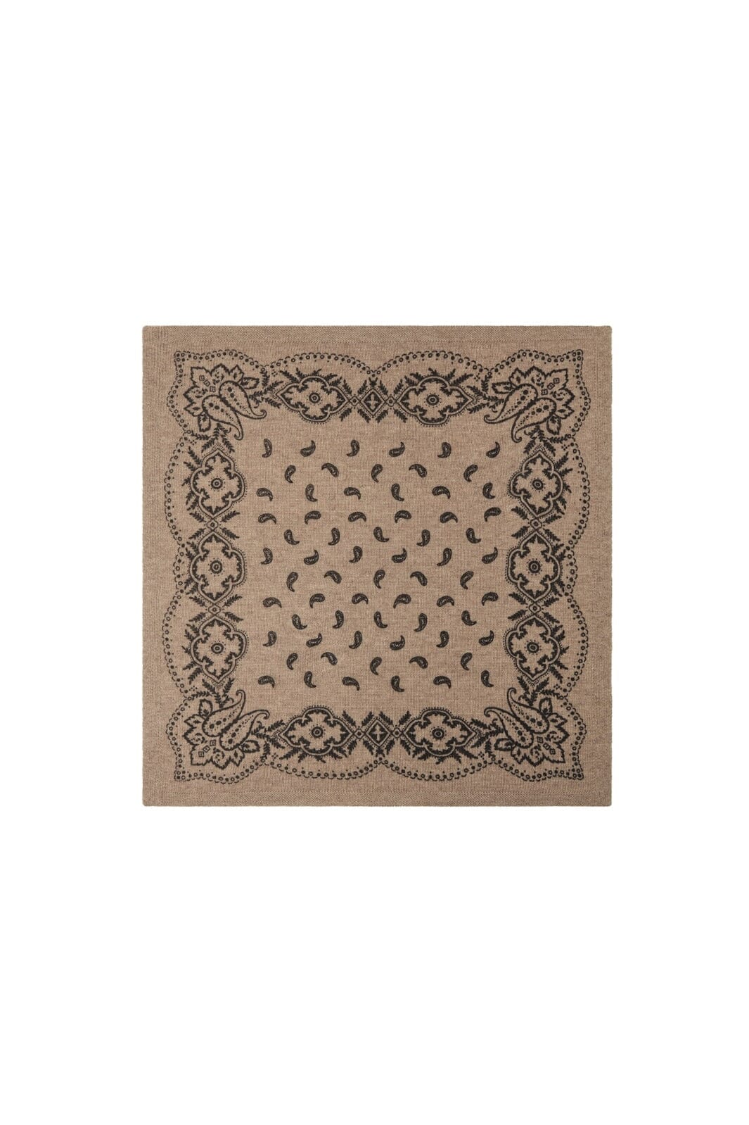 Adelina Paisley Knit Scarf
