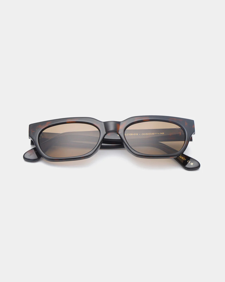 Bror - Demi Tortoise (L.Brown Lens)