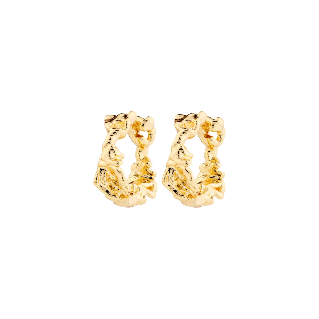 Trust earrings gold plated