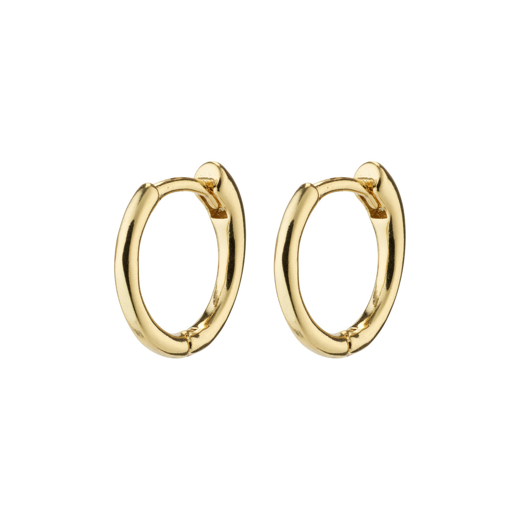 Eanna small hoops gold plated
