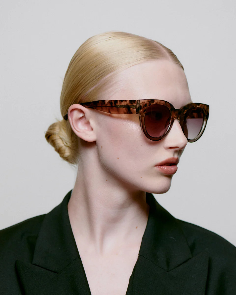 Lilly - Coquina
