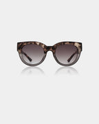 Lilly - Coquina