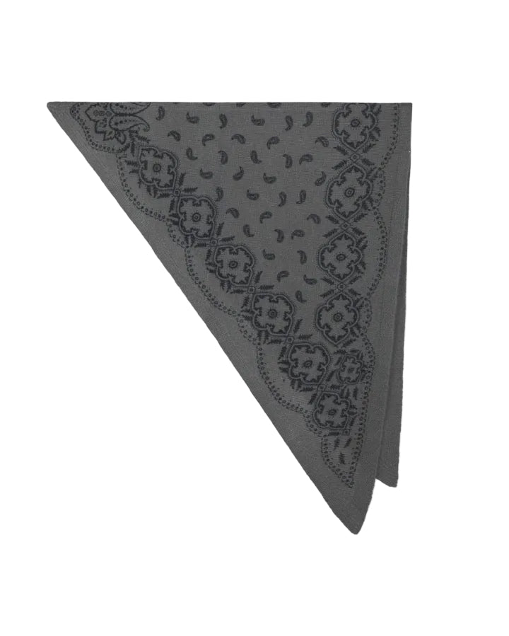 Lolana Paisley Knit Scarf