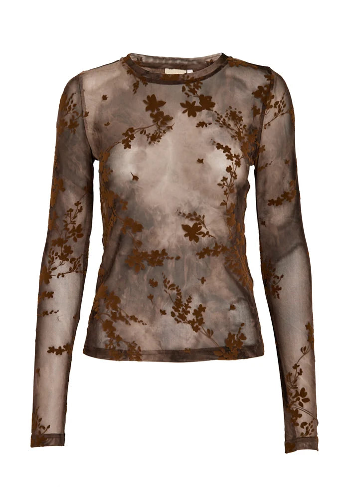 Safia Top