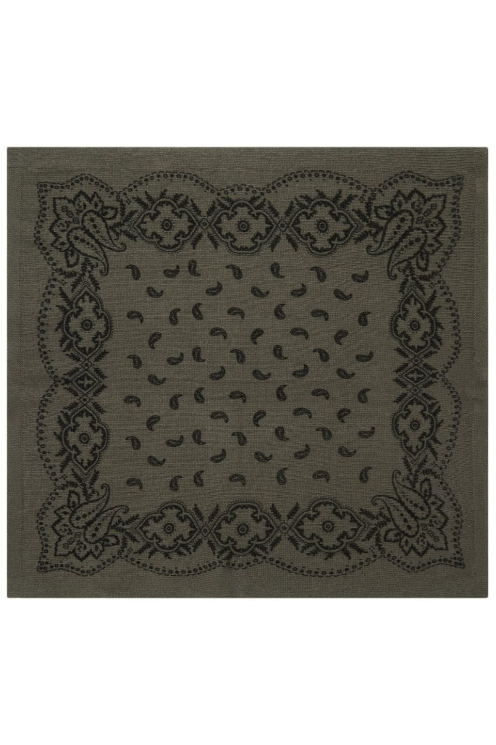 Adelina Paisley Knit Scarf
