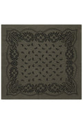 Adelina Paisley Knit Scarf