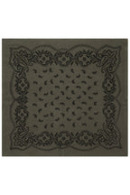Adelina Paisley Knit Scarf