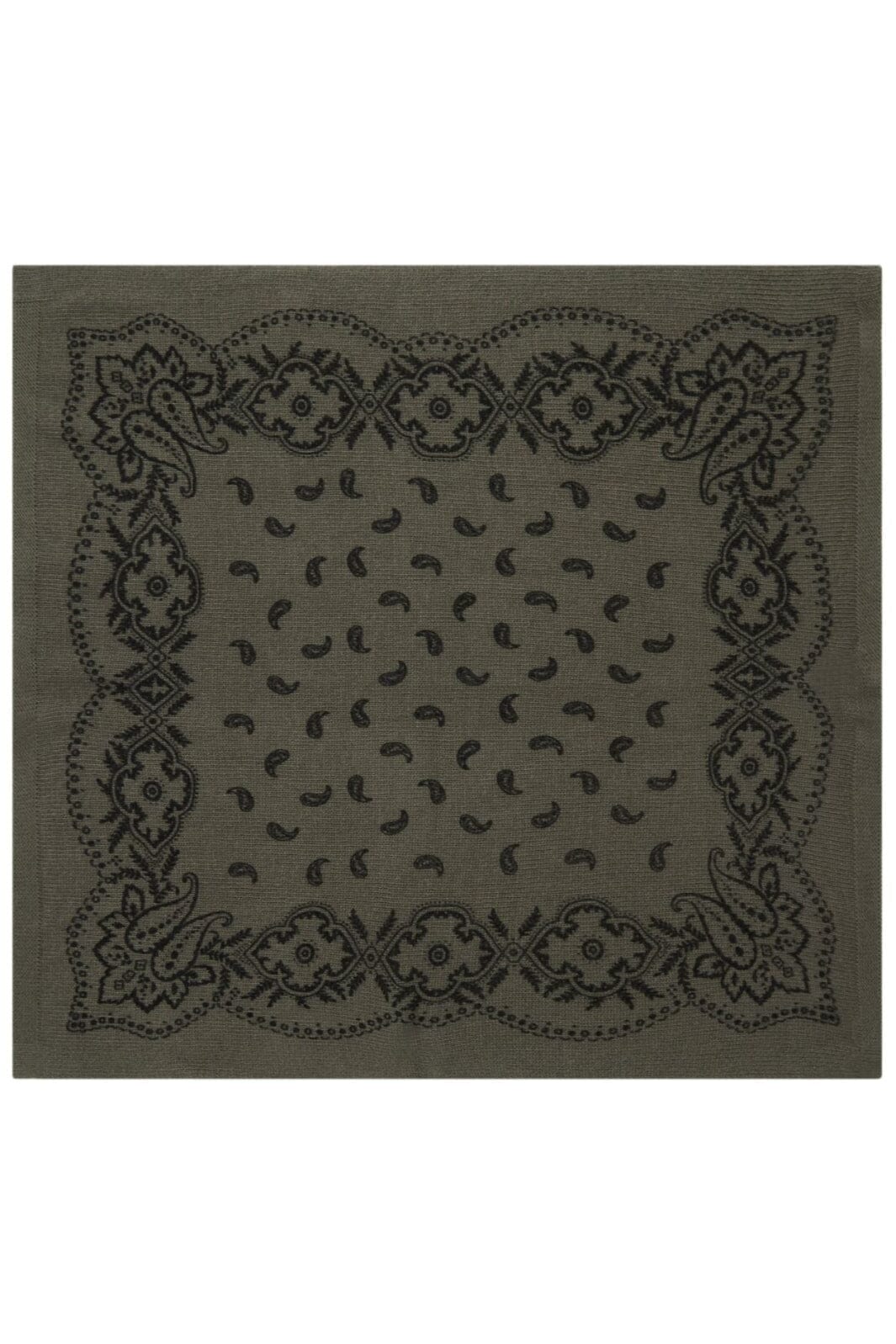 Adelina Paisley Knit Scarf