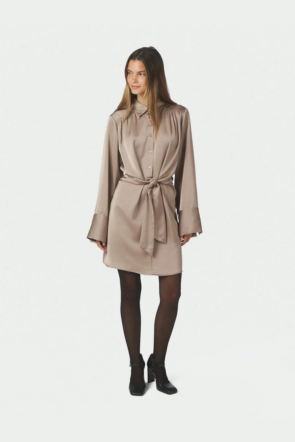 Biria Heavy Sateen Dress