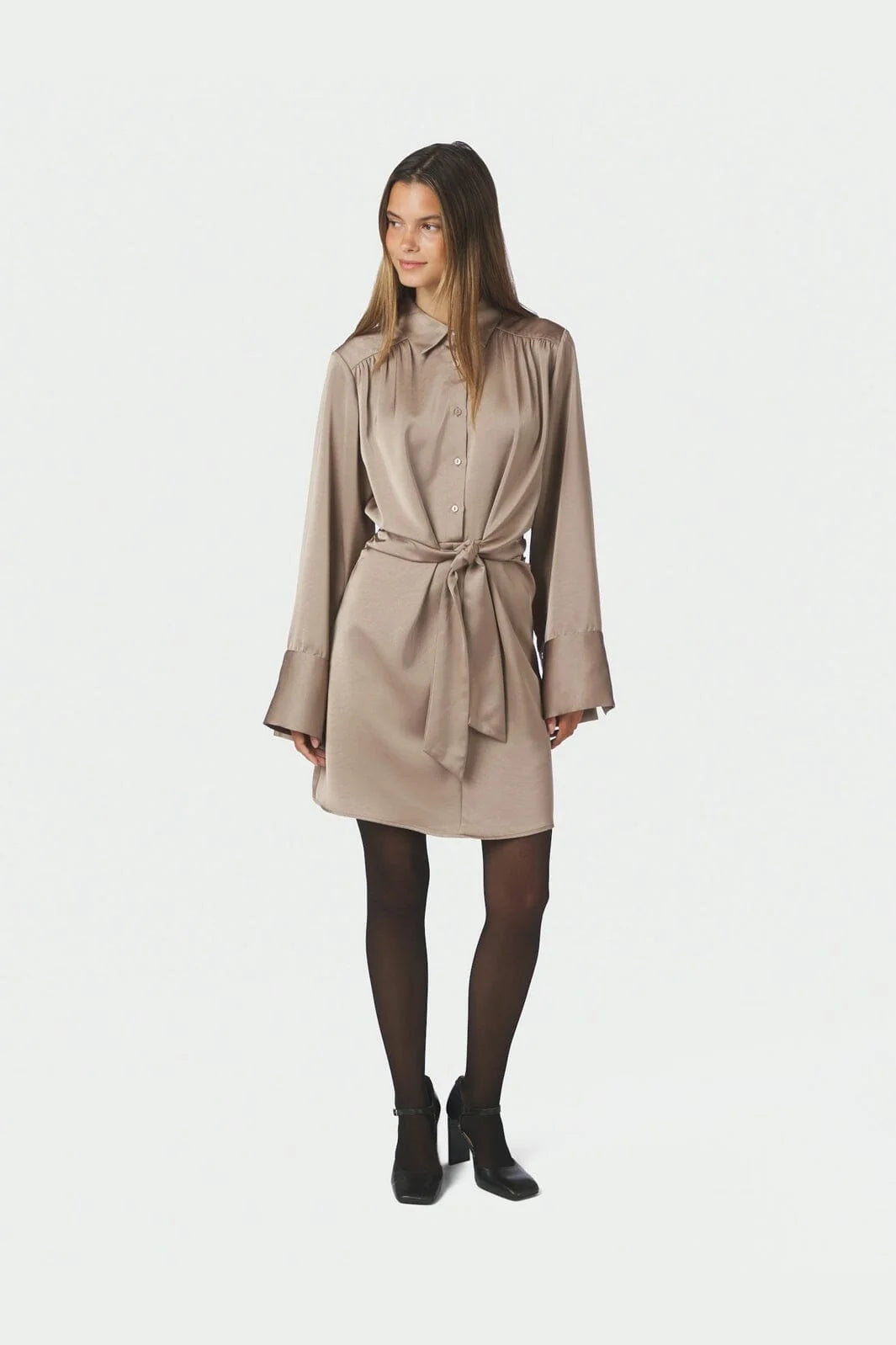 Biria Heavy Sateen Dress